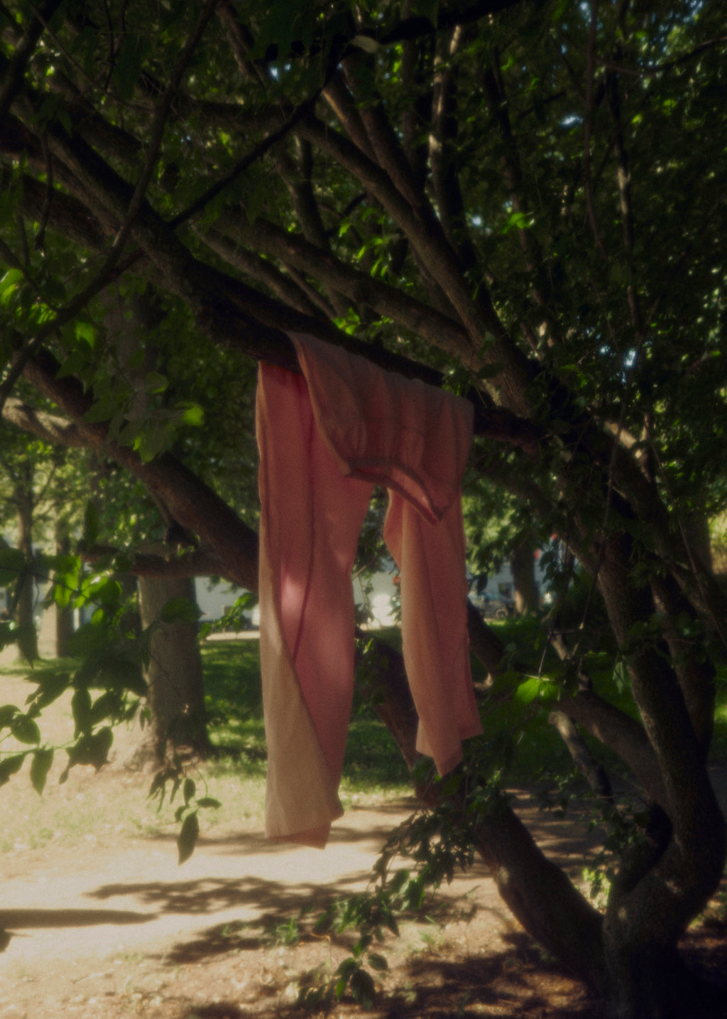 Cotton parachute pants blush stripe