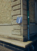 Cotton short shorts blue check